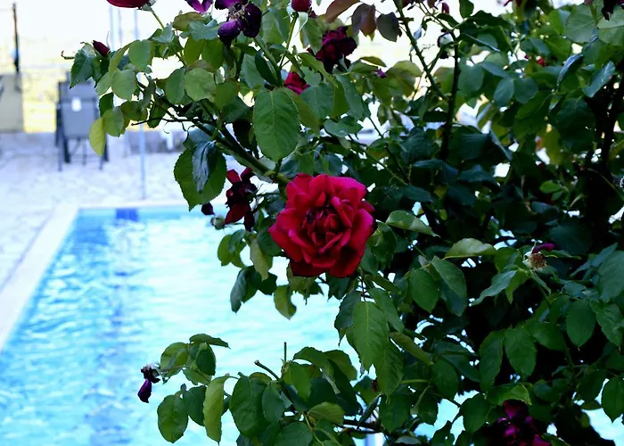 Ionian Balcony * リクスリオン