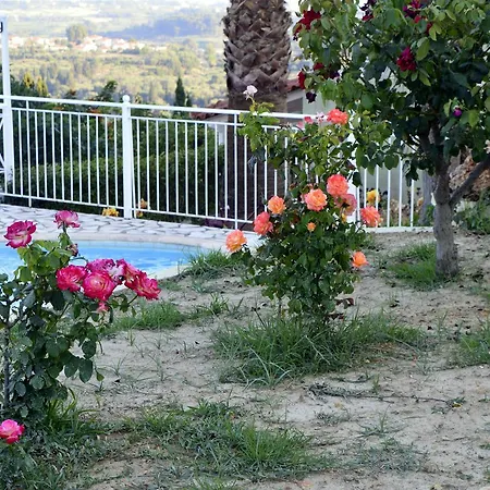 Apartment Ionian Balcony