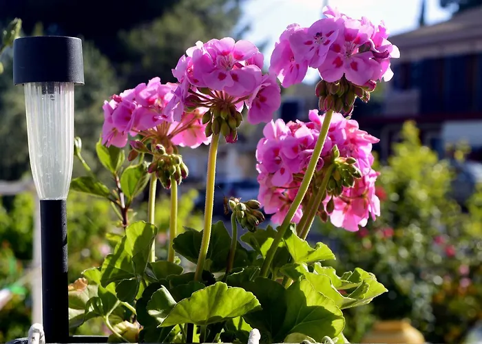 Ionian Balcony * Lixouri